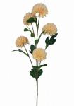 DALIA PON PON SPRAY X 5 LUNGHEZZA 70 CM 12 PEZZI