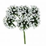 DECORAZIONE BERRY Ø 3,5 CM 36 PEZZI