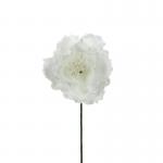 ROSA DI NATALE IN POLIFOAM Ø 5,5 CM 24 PEZZI