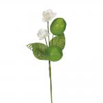 PICK DI LIMONI LUNGHEZZA 19 CM 6 PEZZI