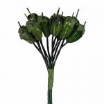 PEPERONCINO LUNGHEZZA 1,5 CM 144 PEZZI