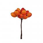 BACCHE ROSA CANINA Ø 1,5 CM 36 PEZZI