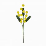 PICK MIMOSA LUNGHEZZA 26 CM 10 PEZZI 