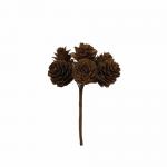 PIGNE PICCOLE IN MAZZO Ø 3 CM 72 PEZZI