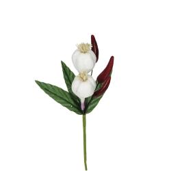 PICK AGLIO E PEPERONCINO LUNGHEZZA 15 CM 5 PEZZI
