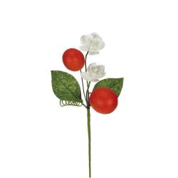 PICK DI ARANCE LUNGHEZZA 19 CM 6 PEZZI