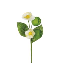 PICK DI MELE LUNGHEZZA 15 CM 6 PEZZI