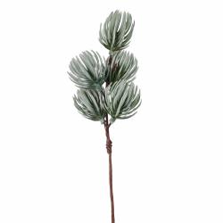 PICK DI PINO SILVESTRE LUNGHEZZA 22 CM 10 PEZZI