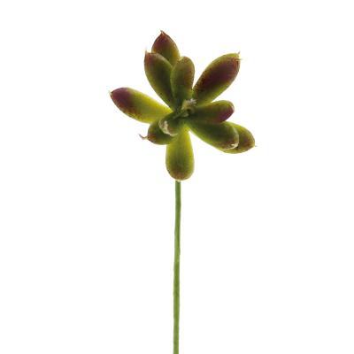 PIANTA GRASSA ARTIFICIALE Ø 5 CM 10 PEZZI