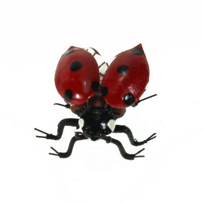 COCCINELLA MAGNETICA IN METALLO Ø 3,5 CM 4 PEZZI