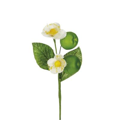 PICK DI MELE LUNGHEZZA 15 CM 6 PEZZI