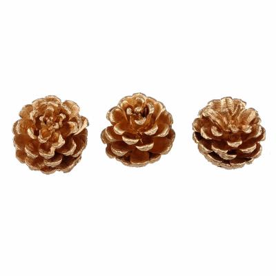 PIGNA NATURALE Ø 5 CM 10 PEZZI