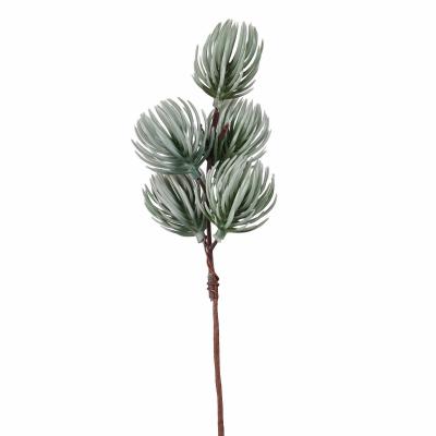PICK DI PINO SILVESTRE LUNGHEZZA 22 CM 10 PEZZI