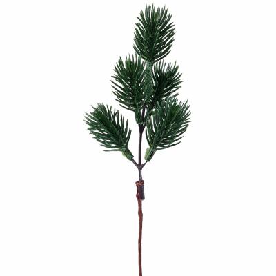 PICK DI PINO SILVESTRE LUNGHEZZA 22 CM 10 PEZZI