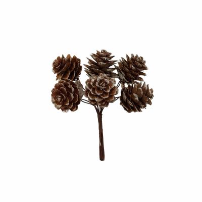 PIGNE PICCOLE IN MAZZO Ø 3 CM 72 PEZZI