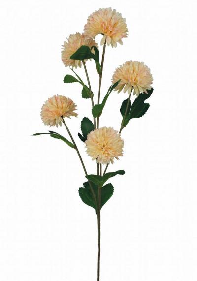 DALIA PON PON SPRAY X 5 LUNGHEZZA 70 CM 12 PEZZI