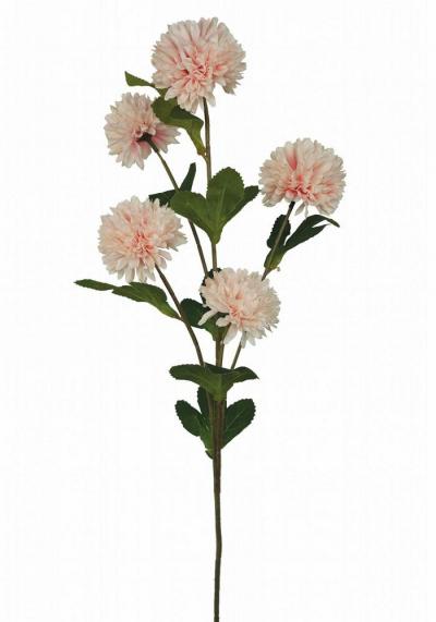 DALIA PON PON SPRAY X 5 LUNGHEZZA 70 CM 12 PEZZI