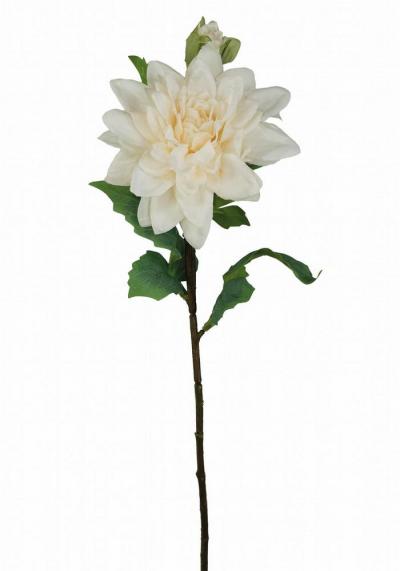 DALIA X 2 LUNGHEZZA 55 CM 12 PEZZI