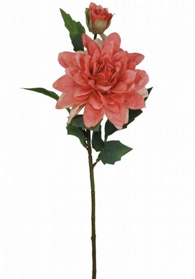 DALIA X 2 LUNGHEZZA 55 CM 12 PEZZI