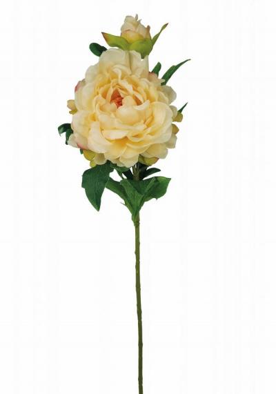 PEONIA SPRAY X 2  LUNGHEZZA 67 CM Ø 13 CM 12 PEZZI