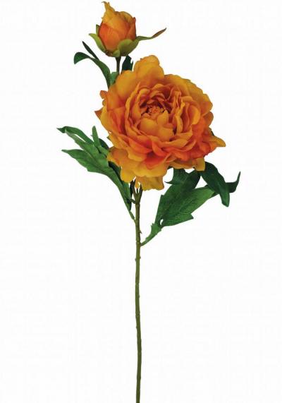 PEONIA SPRAY X 2  LUNGHEZZA 67 CM Ø 13 CM 12 PEZZI