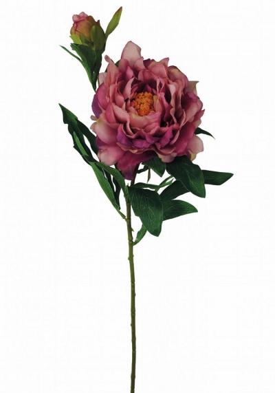 PEONIA SPRAY X 2  LUNGHEZZA 67 CM Ø 13 CM 12 PEZZI