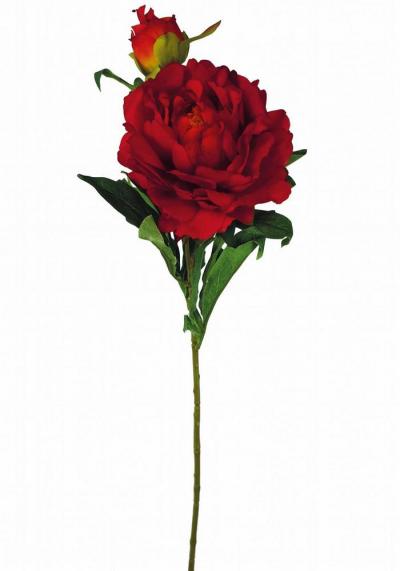 PEONIA SPRAY X 2  LUNGHEZZA 67 CM Ø 13 CM 12 PEZZI