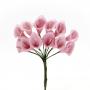 CALLA ZUCCHERATA LUNGHEZZA 3 CM 48 PEZZI