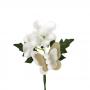 PICK CON FERFALLA IN POLIFOAM E ORTENSIA LUNGHEZZA 16 CM 10 PEZZI