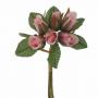 ROSA IN TESSUTO Ø 1,5 CM 36 PEZZI