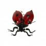 COCCINELLA MAGNETICA IN METALLO Ø 3,5 CM 4 PEZZI
