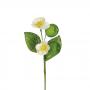 PICK DI MELE LUNGHEZZA 15 CM 6 PEZZI