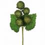 PICK DI MORE LUNGHEZZA 15 CM 10 PEZZI