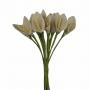 CALLA IN COTONE Ø 1 CM 144 PEZZI
