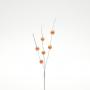 PICK DI BACCHE PERLATE LUNGHEZZA 12 CM 10 PEZZI