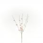 PICK DI BACCHE PERLATE LUNGHEZZA 15 CM 10 PEZZI