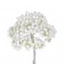 DECORAZIONE BERRY Ø 3 CM 36 PEZZI