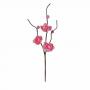 PICK FIOR DI PESCO 24 CM 6 PEZZI