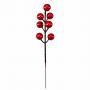 PICK DI BACCHE LUNGHEZZA 19 CM 24 PEZZI