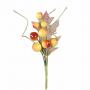 PICK CON BACCHE LUNGHEZZA 12 CM 10 PEZZI