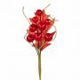 PICK CON BACCHE LUNGHEZZA 12 CM 10 PEZZI